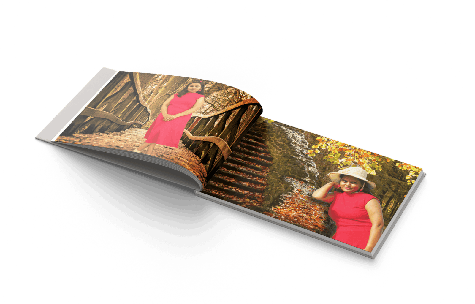 Image hover effect image
